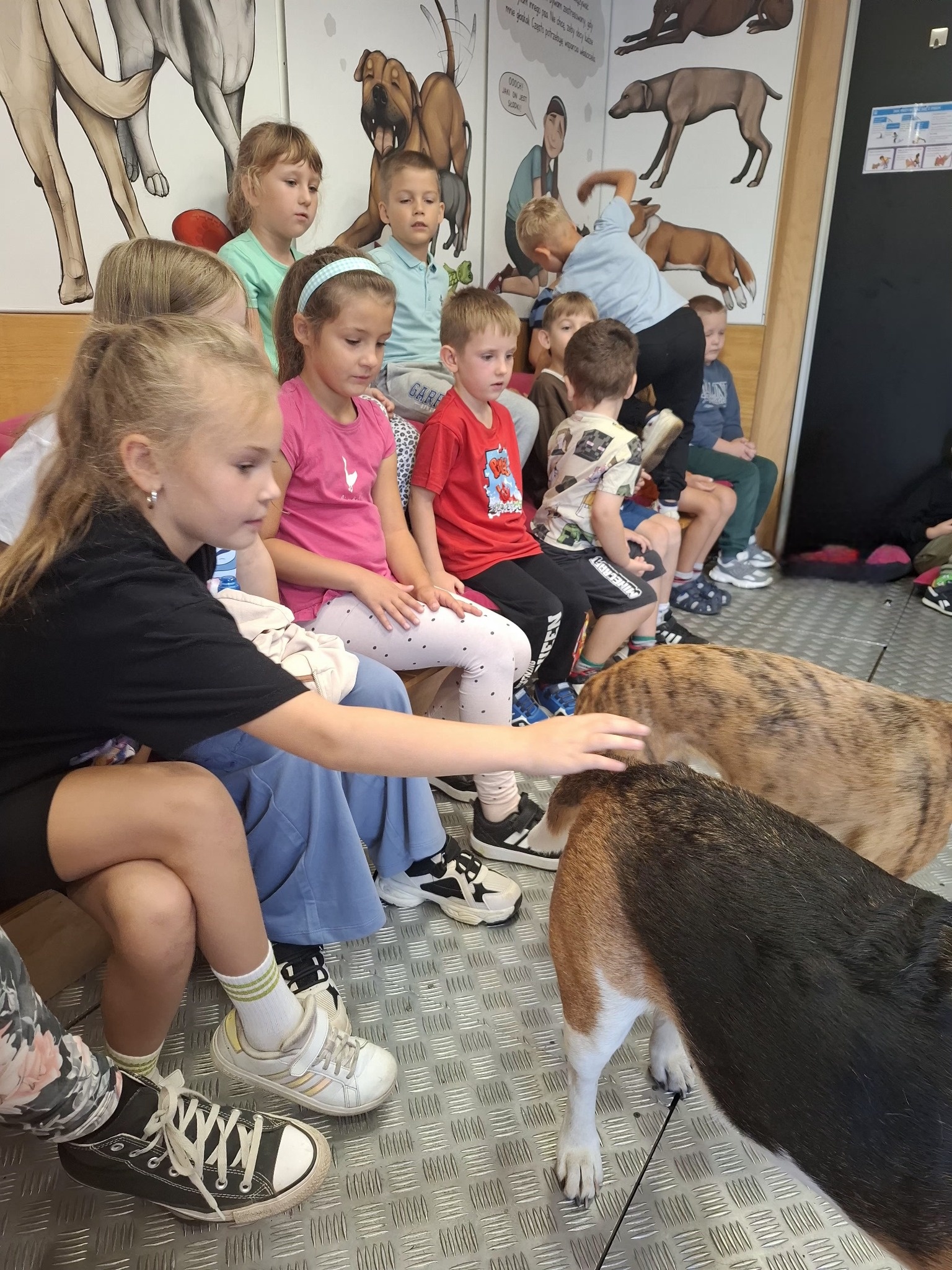 dogoterapia