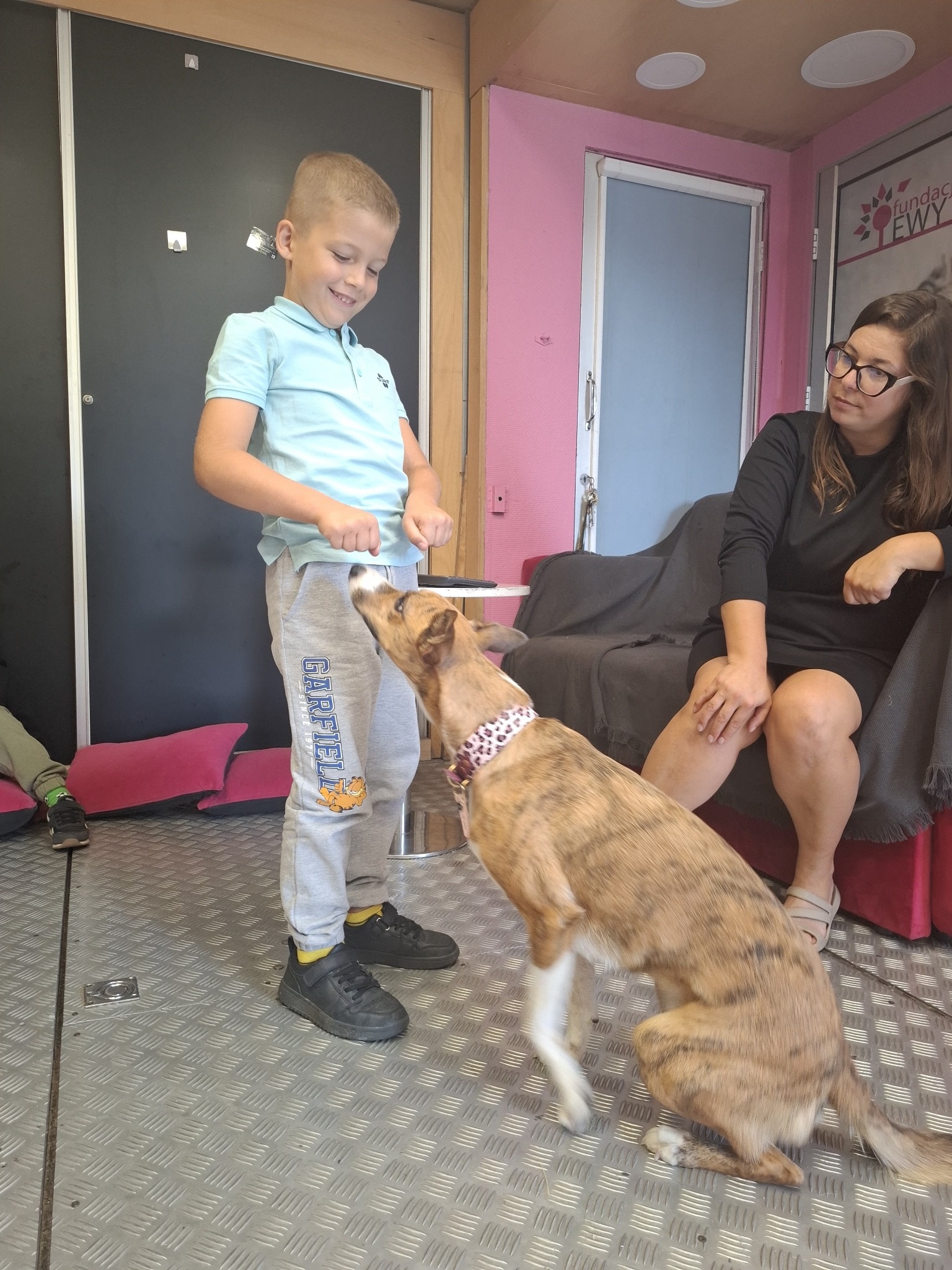 dogoterapia
